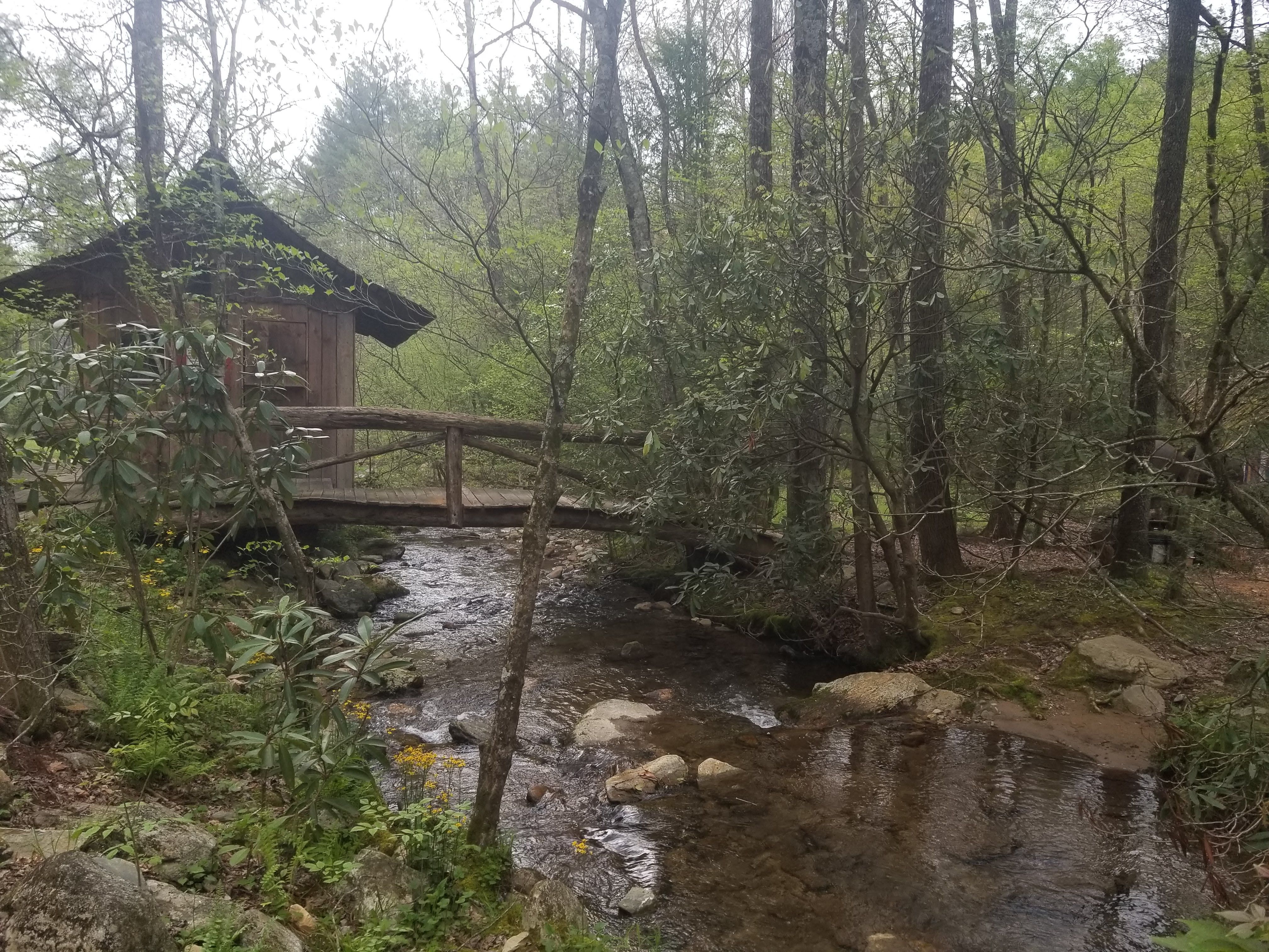 Bridge at Turtle Island Preserve