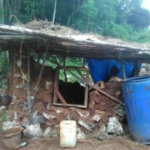 Primitive Cob Hut Exterior